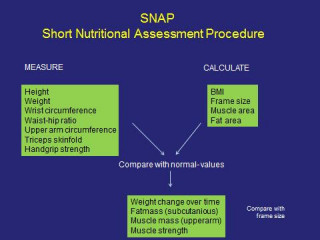 Snap Measurement Example Short Nutritional Assessment Procedure | Nutritional assessment